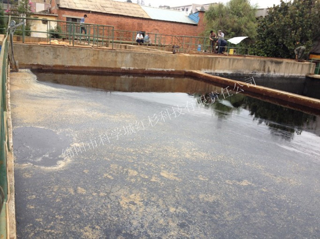 曲靖聯合印染廠